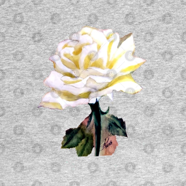 White rose by Frezmade